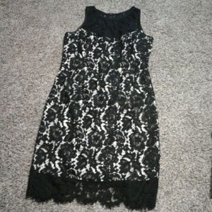 Gorgeous sleeveless ,lace over dress